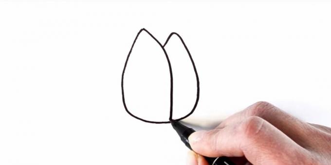 Sådan tegner du en tulipan: skitserer kronblade