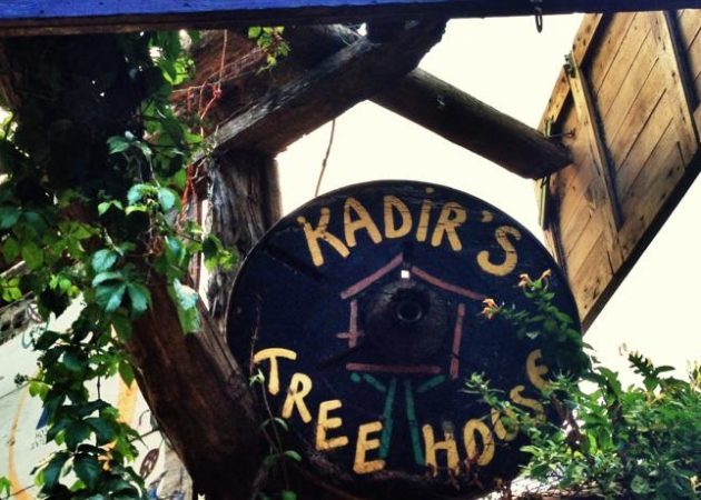 Kadir s Tree House 2