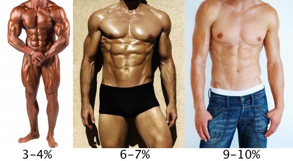 kropsfedt procent for mænd
