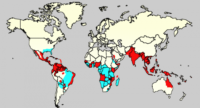 Et område med fordelingen af ​​vektorer af virus Zika