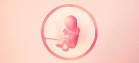 17. graviditetsuge: hvad sker der med baby og mor - Lifehacker