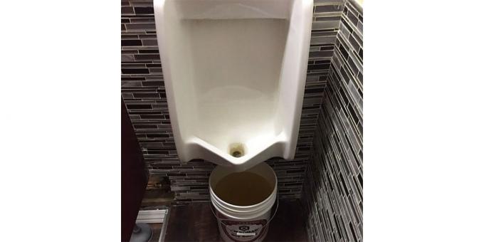 Design af restauranter: pissoir i toilettet