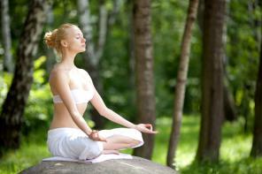 Vejledninger om de vigtigste retninger af yoga