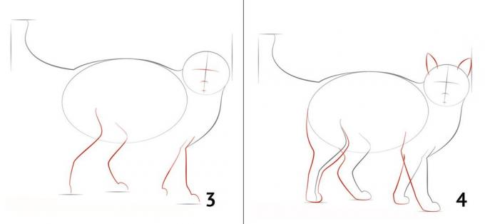 Sådan at tegne en kat