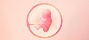 21. graviditetsuge: hvad sker der med baby og mor - Lifehacker