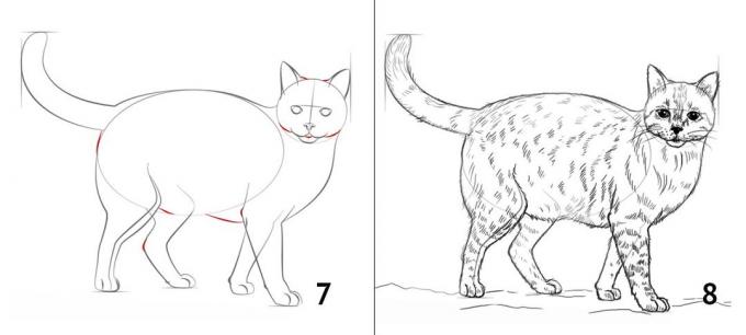 Sådan at tegne en kat