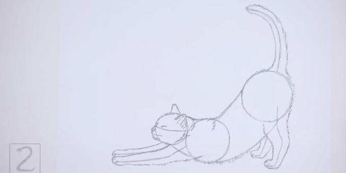 Tegn shorstku langs ryggen og maven af ​​en kat. male på halen