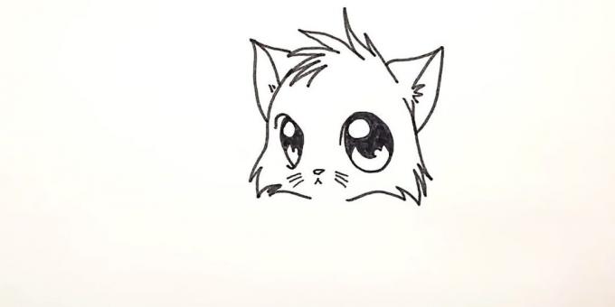 Hvordan man tegner anime kat: Tegn shorstku i den nederste del af hovedet