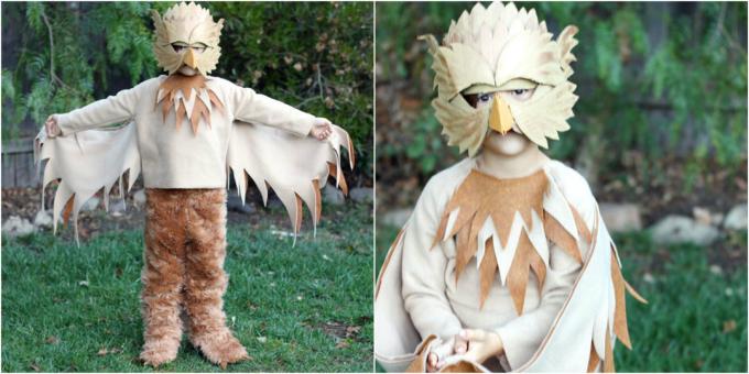 Jul kostumer med deres egne hænder: Griffin