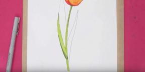 15 måder at tegne smukke tulipaner på