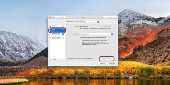 DNS-server indstilling på MacOS