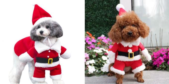 Jul kostumer til hunde woofing Santa