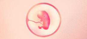 13. graviditetsuge: hvad sker der med baby og mor - Lifehacker