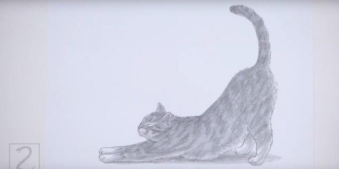Sådan at tegne en kat stående i en realistisk stil