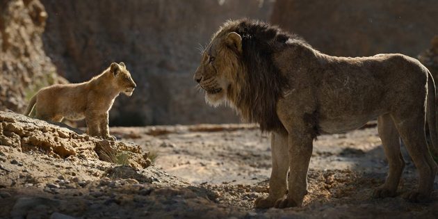 "Løvernes Konge": Simba og Scar