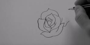 Sådan at tegne en rose på 20 forskellige måder