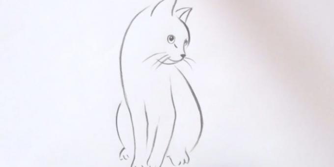 Sådan at tegne en kat sidder i en realistisk stil