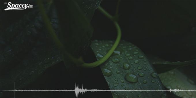 Binaural lyd af regn til koncentration