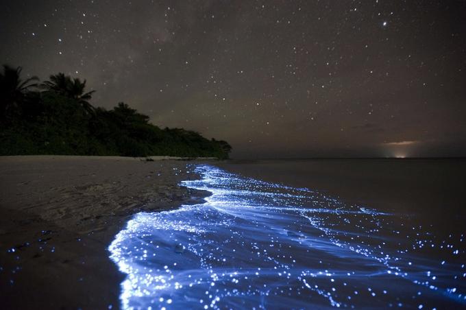 Bioluminescent Strand - Vaadhoo, Maldiverne bedste strande