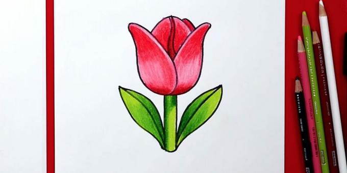 Hvordan man tegner en simpel tulipan