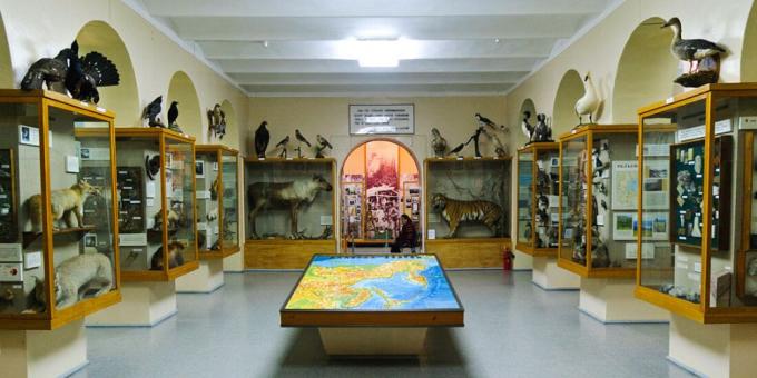 Saratov Regional Museum of Local Lore