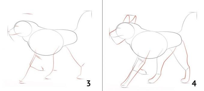Hvordan man tegner en hund