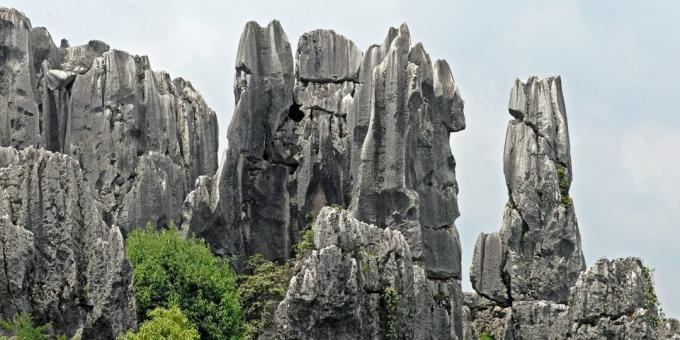 Asiatiske område bevidst tiltrækker turister: Shilin Stone Skov, Kina