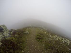 Trail San Francisco: Jeg kørte et par hundrede meter over Stillehavet