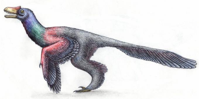Gamle myter: dinosaurer lignede krybdyr