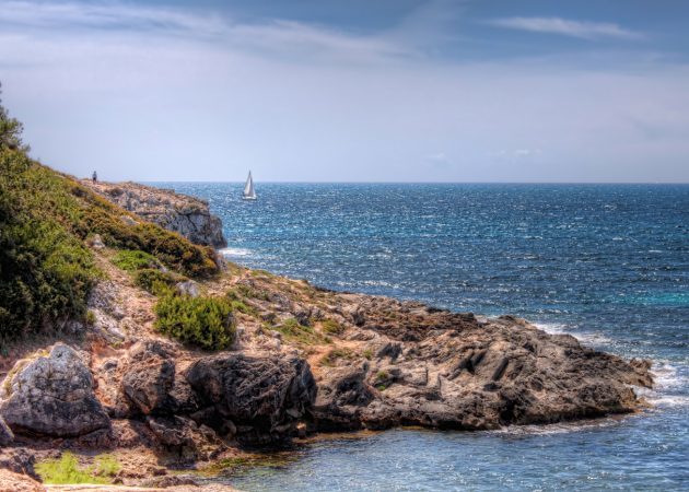 hvor de skal gå i efteråret: Spanien