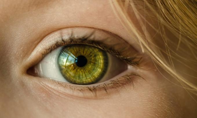 Olivenolie hud omkring øjnene