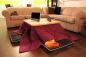 Varmer i japansk med en varm tabel kotatsu