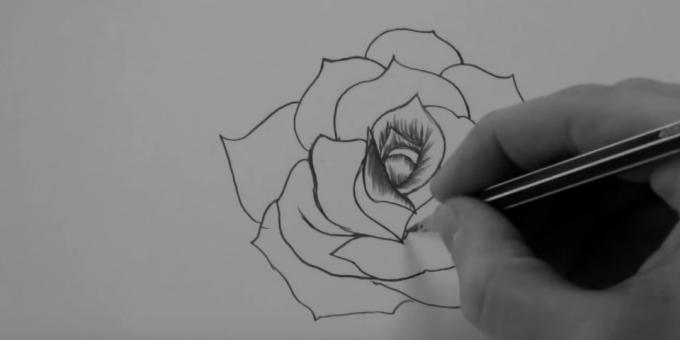 Shade i midten af ​​en rose