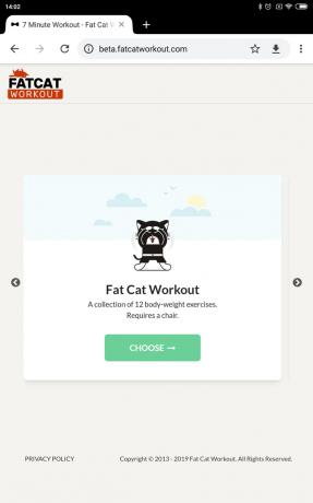 Fat Cat træning