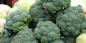 Hvordan og hvor meget at tilberede broccoli