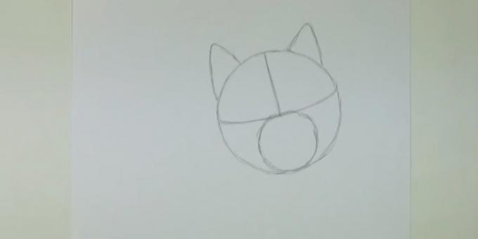 Tegn en cirkel og markere de mindre ører