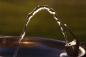 Dehydreret generation: Har vi virkelig brug for at drikke mere vand