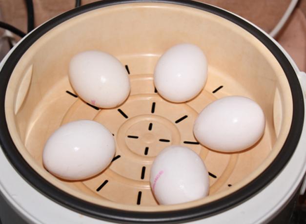 Hvordan at koge æg i en dobbelt kedel eller multivarka