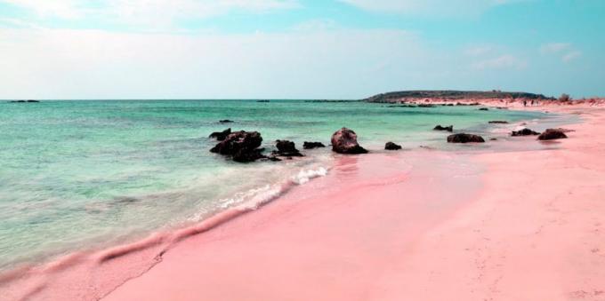 Utrolig smuk sted: en lyserød strand på Sardinien, Italien