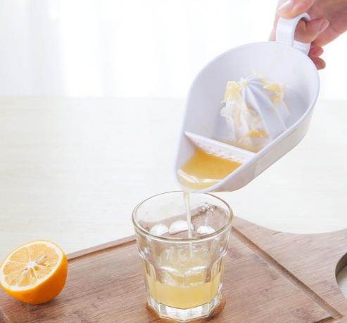 Praktisk citrus