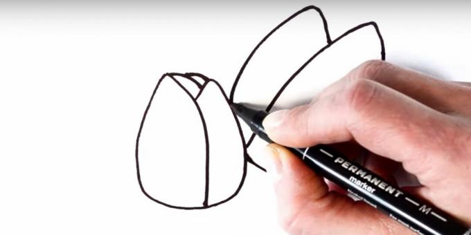 Sådan tegner du en tulipan: tilføj det venstre kronblad