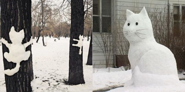 sne figur: Kat