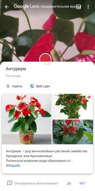 5 mobile applikationer, som kan genkende potteplanter