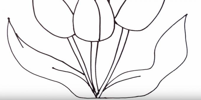 Hvordan man tegner en tulipan: skildre det venstre blad