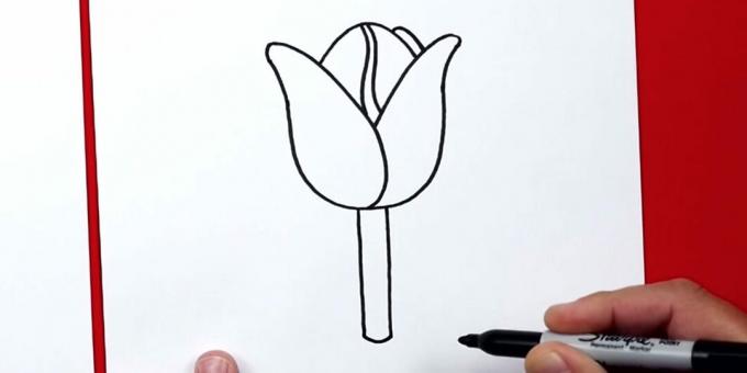 Sådan tegner du en tulipan: tilføj en stilk
