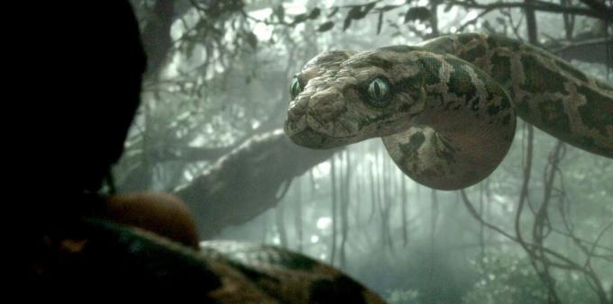 Optaget fra filmen om slanger "The Jungle Book"