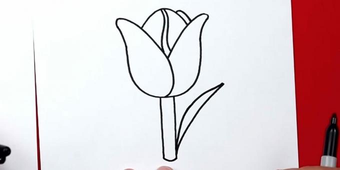 Sådan tegner du en tulipan: start med at tegne det rigtige blad