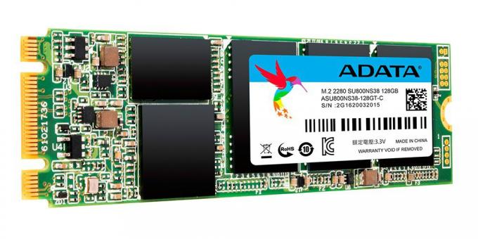 Hvad er den bedste SSD: SSD M.2 ADATA SU800