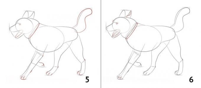 Hvordan man tegner en hund
