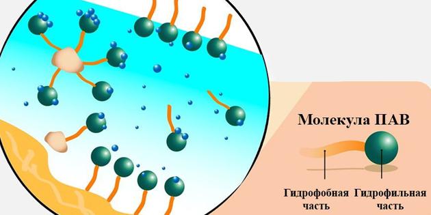 Micellær vand: overfladeaktivt molekyle